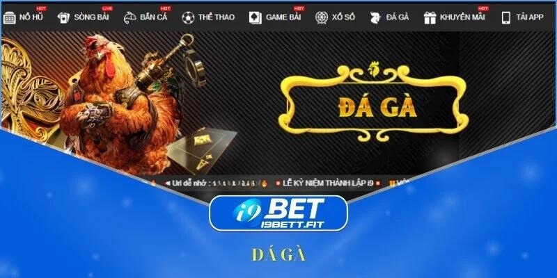 Sảnh cược đá gà I9BET đẳng cấp khu vực